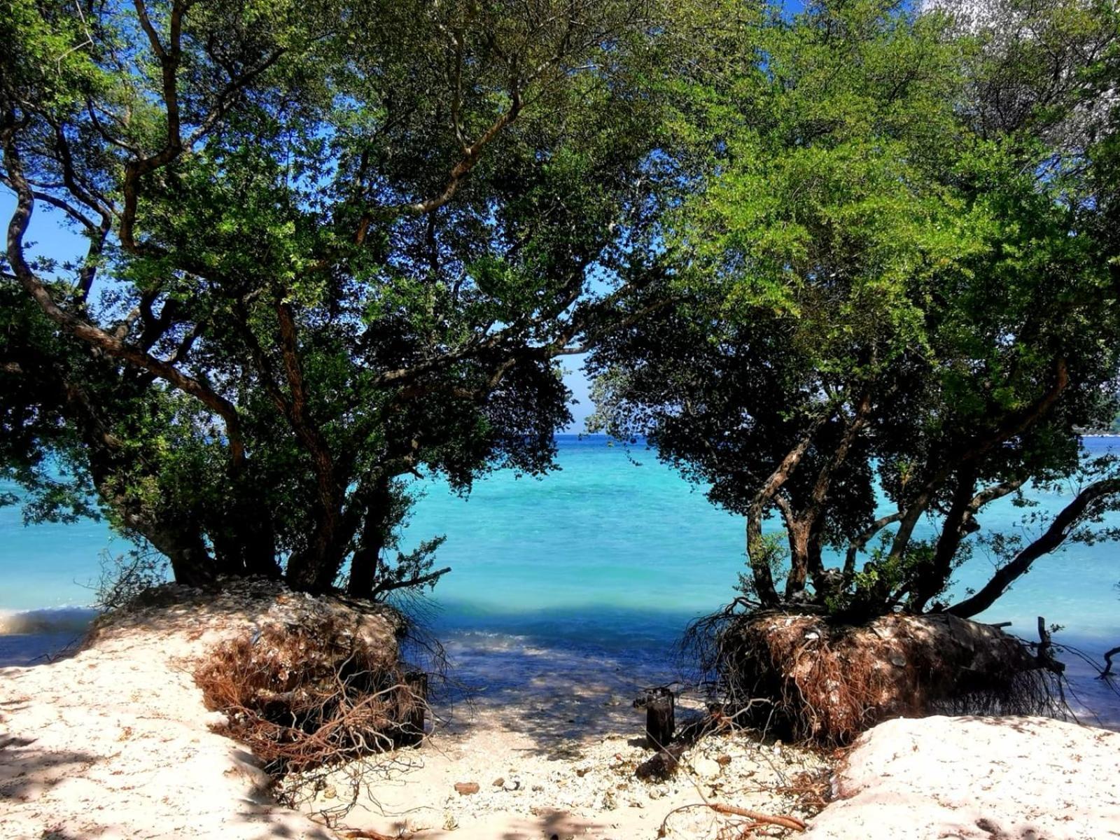 Exotic House Villa Gili Meno Kültér fotó