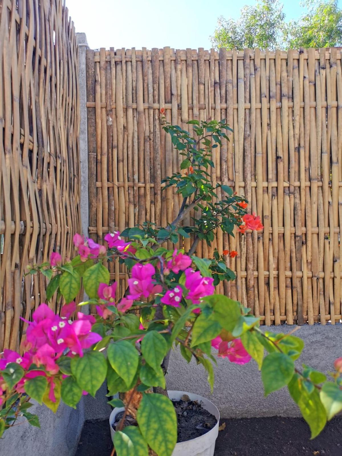 Exotic House Villa Gili Meno Kültér fotó