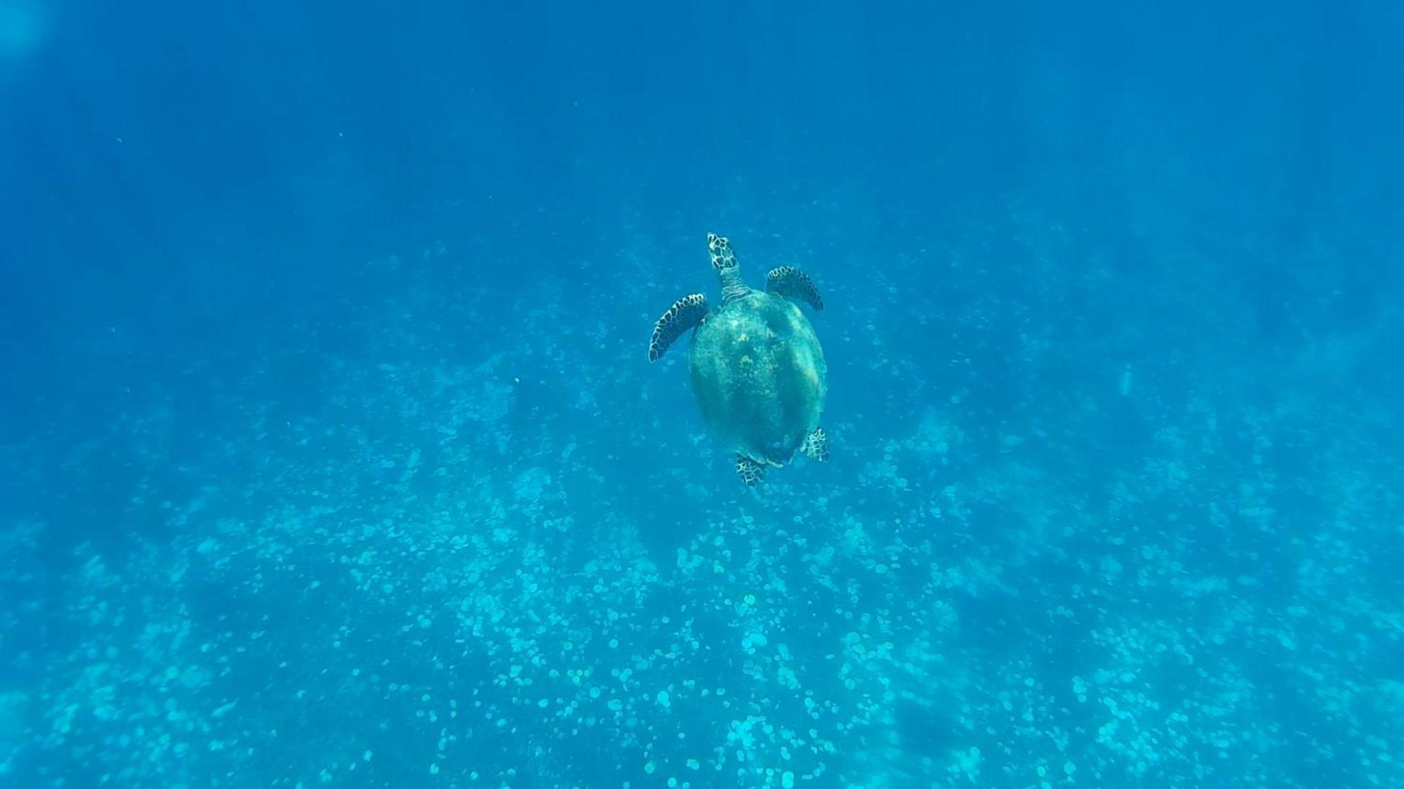 Exotic House Villa Gili Meno Kültér fotó