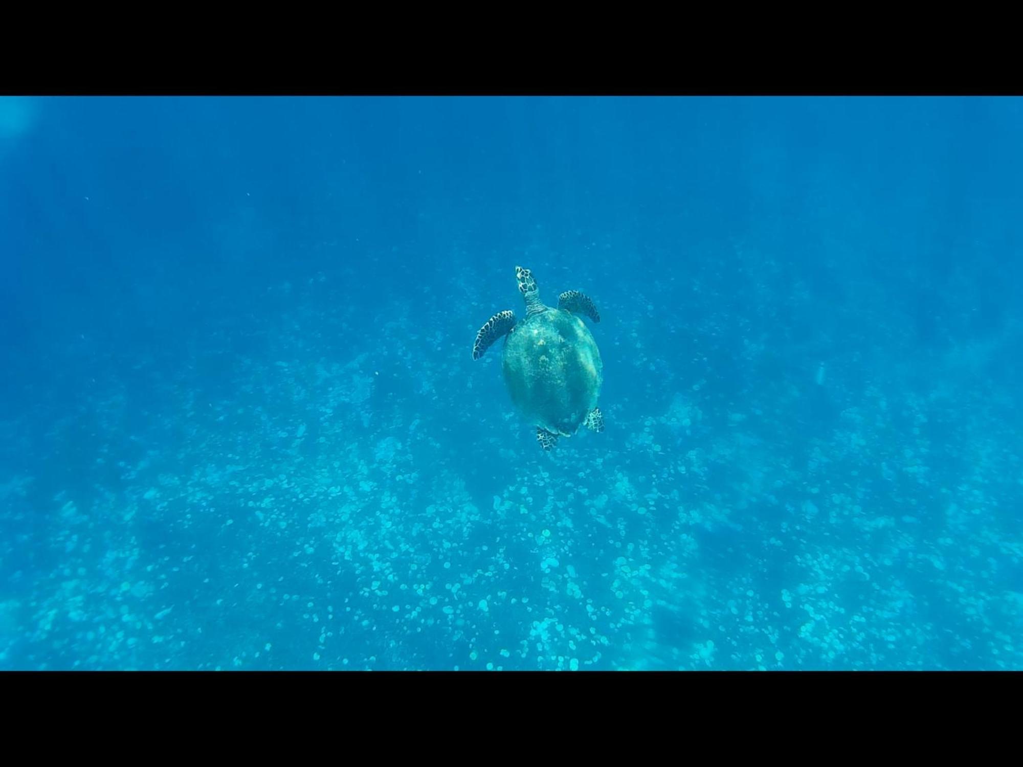 Exotic House Villa Gili Meno Kültér fotó