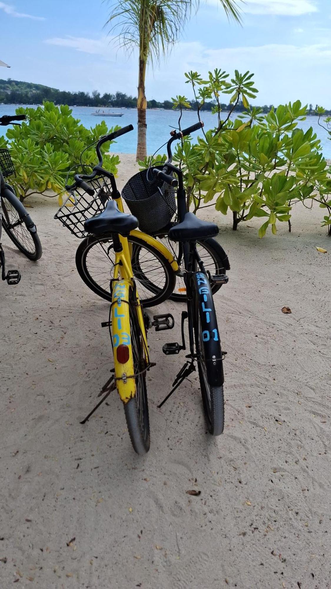 Exotic House Villa Gili Meno Szoba fotó