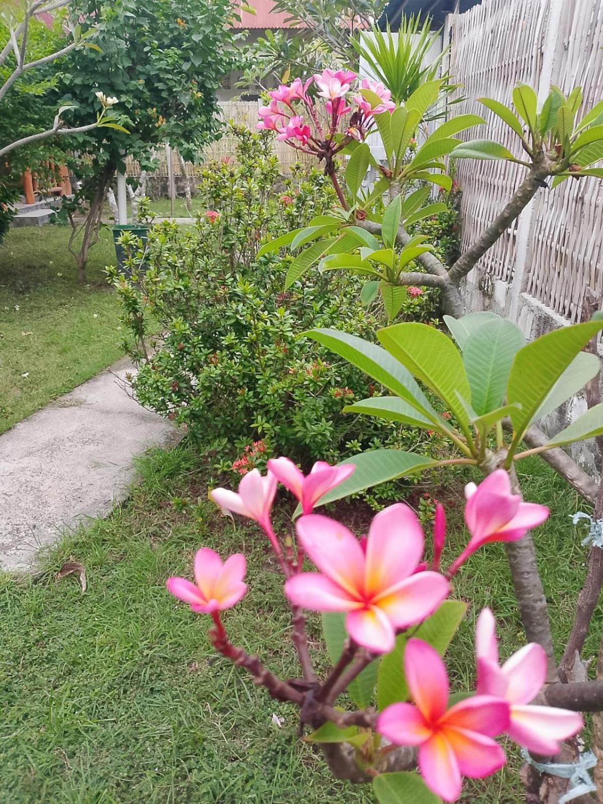 Exotic House Villa Gili Meno Szoba fotó